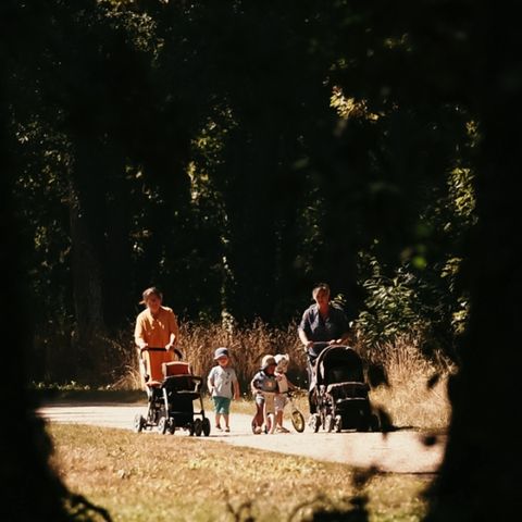 Camping du Lion d'Angers - Camping Maine-et-Loire - Afbeelding N°6