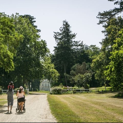 Camping du Lion d'Angers - Camping Maine-et-Loire - Afbeelding N°2