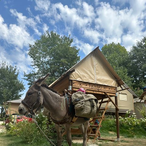 ALOJAMIENTO INUSUAL 2 personas - BIVOUAC sobre pilotes