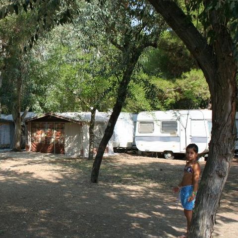 PARCELA - Tienda de campaña