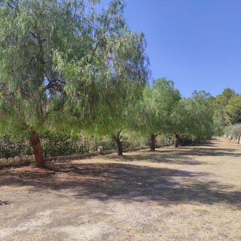 Stellplatz - Nackter Stellplatz - Zelt - 2 Plätze