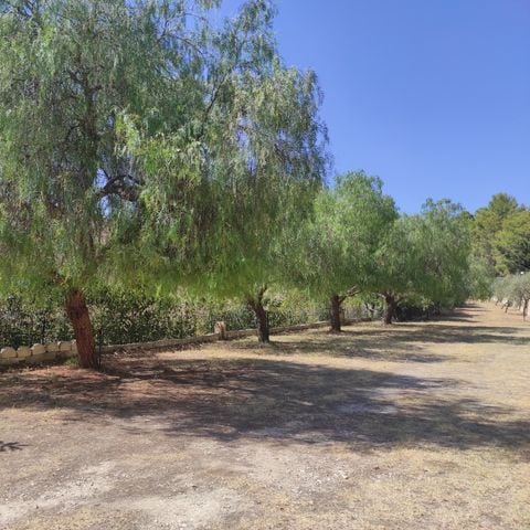 EMPLACEMENT - Emplacement nu - Tente - 5 places