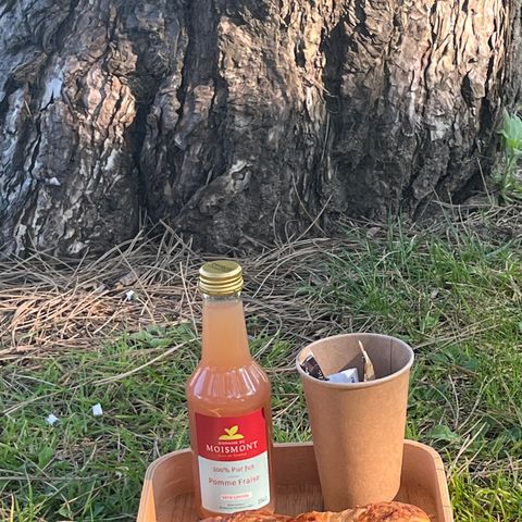 BUNGALOW 5 personnes - Cottage Opale Océan 2 Chambres 2 Salles de bain 34m2 Terrasse semi-couverte