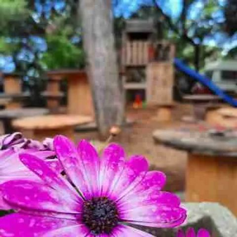 Camping Nettuno Agrigento - Camping Agrigent - Image N°6