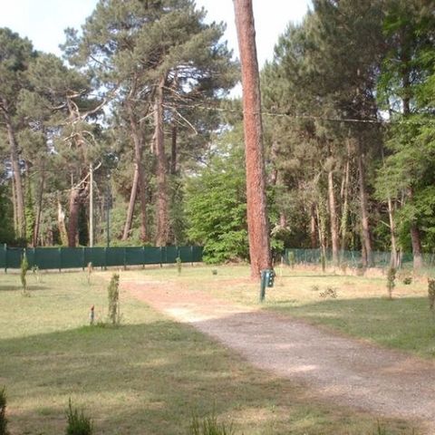 Kampeerplaats - Kaal veld
