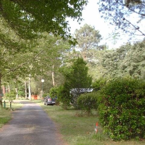 STAANPLAATS - Kaal veld