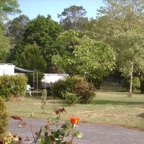 Stellplatz - Nackter Stellplatz