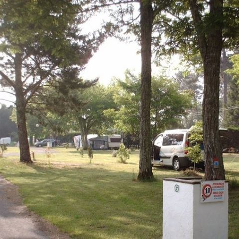 Kampeerplaats - Kaal veld