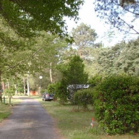 Stellplatz - Nackter Platz mit Strom für Zelt