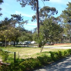 Camping Caminha - Camping Nord du Portugal