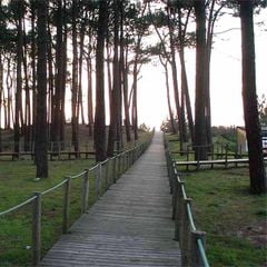 Camping Caminha - Camping Nord du Portugal