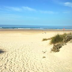 Camping Costa de Caparica - Camping Région de Lisbonne - Portugal