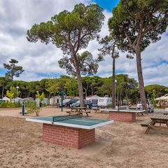 Camping Costa de Caparica - Camping Région de Lisbonne - Portugal