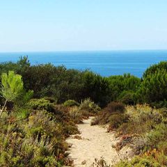 Camping Costa de Caparica - Camping Région de Lisbonne - Portugal