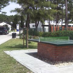 Camping Gala - Camping Centre du Portugal