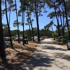 Camping Gala - Camping Centre du Portugal