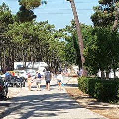 Camping Gala - Camping Centre du Portugal