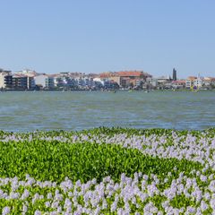 Camping Mira - Camping Centre du Portugal