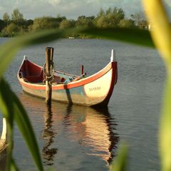 Camping Mira - Camping Centre du Portugal