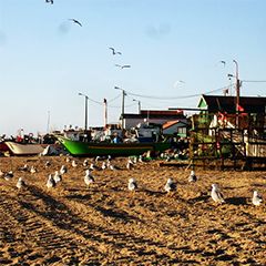 Camping Sao Pedro de Moel - Camping Région de Lisbonne - Portugal