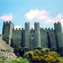 Camping Sao Pedro de Moel - Camping Région de Lisbonne - Portugal