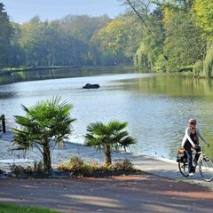 Camping Le Marqueval - Camping Seine-Maritime