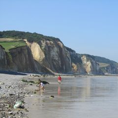 Camping Le Marqueval - Camping Seine-Maritime