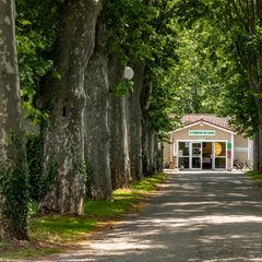 Camping maeva Escapades Le Domaine du Cèdre - Camping Tarn
