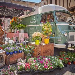 Camping Le Chêne Vert - Camping Tarn