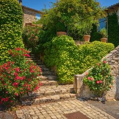 Camping Le Chêne Vert - Camping Tarn