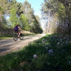 Camping et  Village Vacances Le Lac  - Camping Haute-Garonne