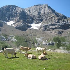 Camping du Lac - Camping Hautes-Pyrenees