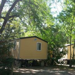 Camping du Pont d'Avignon - Camping Vaucluse