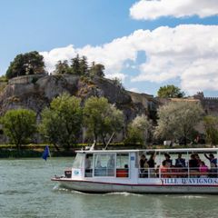 Camping du Pont d'Avignon - Camping Vaucluse