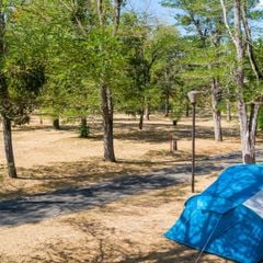 Camping de L'Ile  - Camping Cher