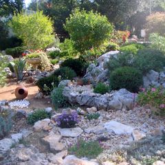 Camping La Buissiere - Camping Gard