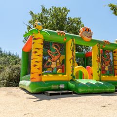 Camping La Buissiere - Camping Gard