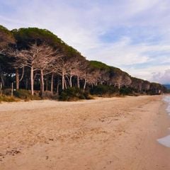 Camping Le Capanne - Camping Livourne