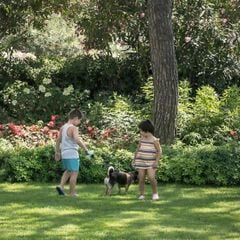 Camping Le Capanne - Camping Livourne