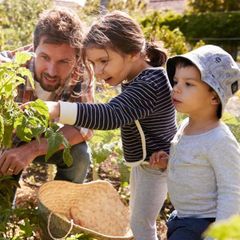 Camping Le Capanne - Camping Livourne