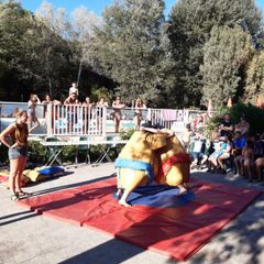 Camping Domaine de Gaujac - Camping Paradis - Camping Gard Camping Domaine de Gaujac - Camping Paradis - Camping Gard