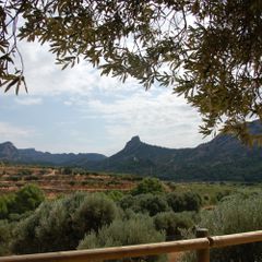 Camping Terra Alta - Camping Tarragone