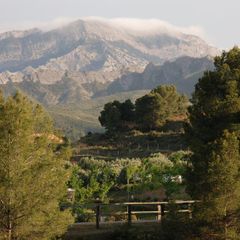 Camping Terra Alta - Camping Tarragone