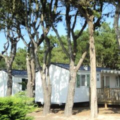 MOBILHOME 6 personnes - Passion