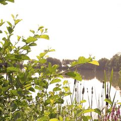 Camping La Croix du Bois Sacker - Camping Moselle