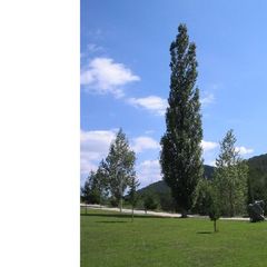 Camping Pirinenc - Camping Gérone