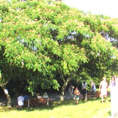 Camping Les Craouès - Camping Hautes-Pyrenees