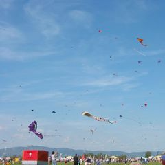 Badiaccia Camping Village - Camping Pérouse