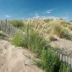 Camping Ca Savio  - Camping Venise