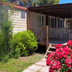 Camping Le Tamerici  - Camping Livourne